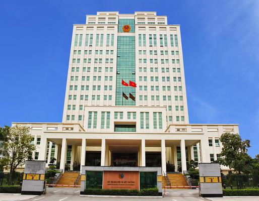 lĩnh vực hoạt động